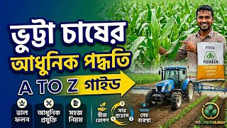 ভুট্টা চাষের আধুনিক পদ্ধতি | ভুট্টা চাষ পদ্ধতি A TO Z | High Yield Hybrid Corn Farming Guide