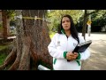 Así actúa la ambulancia de los árboles en Bogotá