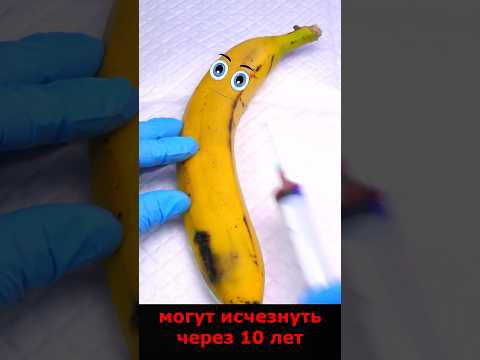 Почему бананы могут исчезнуть? И еще 5 шокирующих фактов о еде! #wowfacts #Еда #Экология