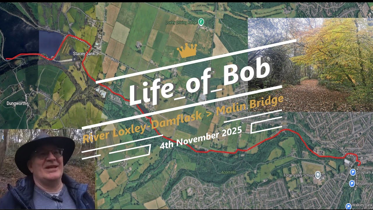 “Golden Leaves & River Views | Autumn Walk in the Loxley Valley, Sheffield” Damflask to Malin Bridge