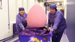 Cadbury Creates Giant Chocolate Egg to Celebrate Easter Profile