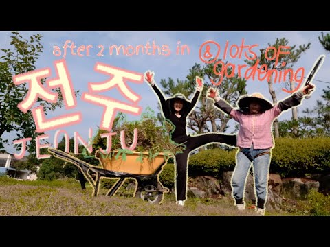 last weekend in jeonju pt. 1 | gardening with halmoni, cooking, finally seeing kangmin