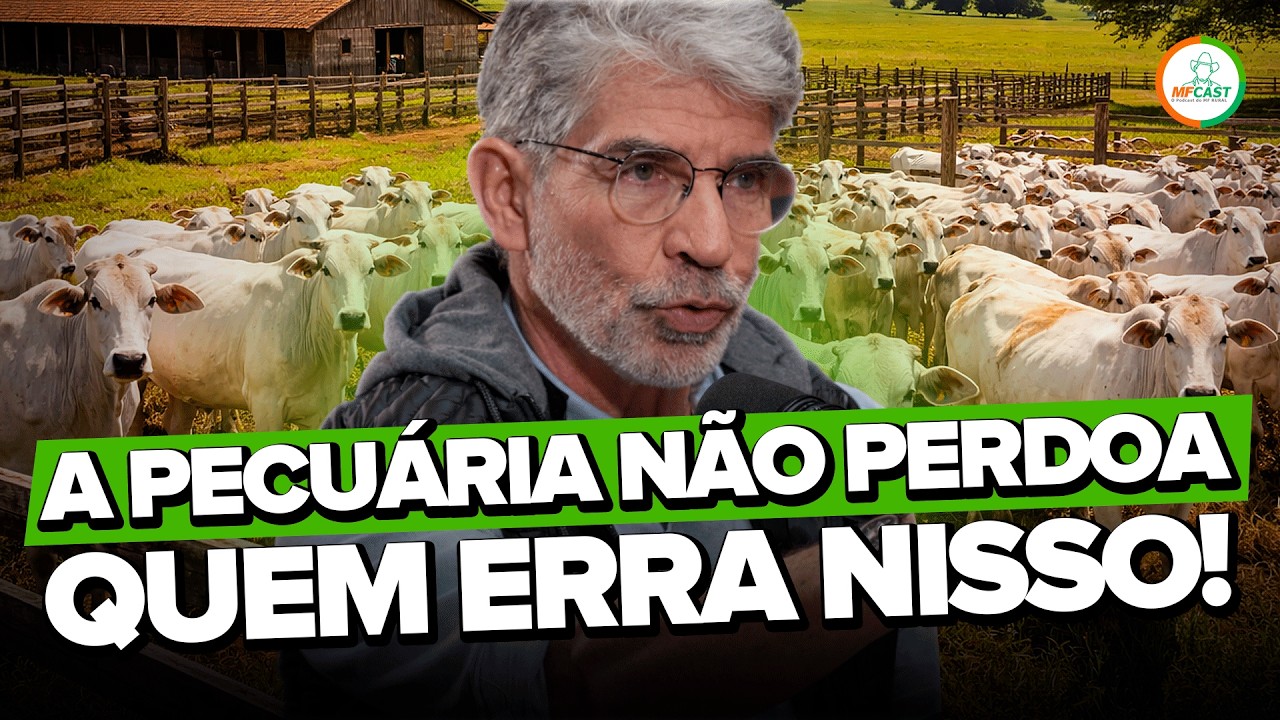 QUER COMEÇAR NA PECUÁRIA? RESPONDA ESTAS 4 PERGUNTAS  -  MF CAST #119