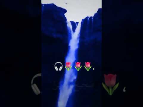 اعيش و اعاشر