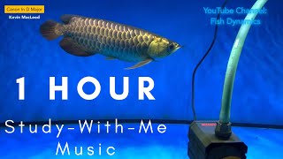 【One Hour Pomodoro】Study-With-Me Music with Rain & Thunder (Arowana Session) | #อโรวาน่า #arwana screenshot 2