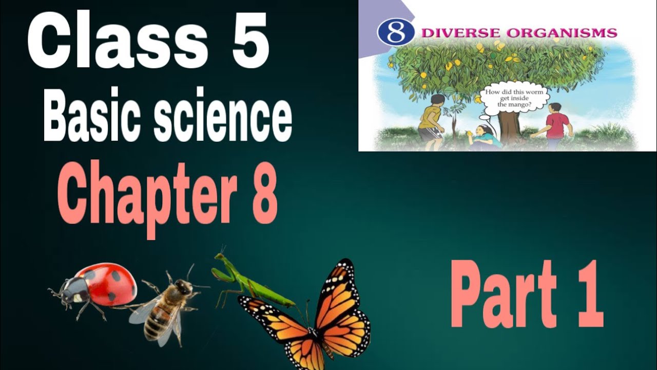 Class 5 Basic Science Chapter 8 | Diverse Organisms | Easy Explanation ...