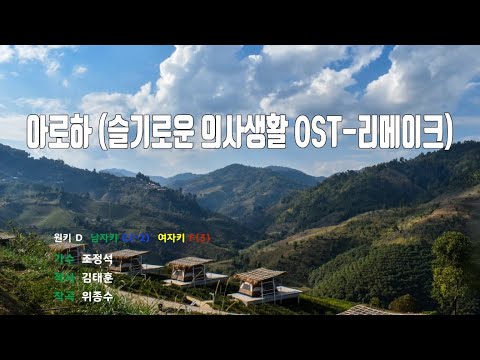 [은성반주기] 아로하(슬기로운의사생활OST-리메이크) - 조정석 /MR/가사