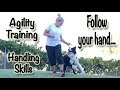 Dog agility training follow your hand  handling foundations