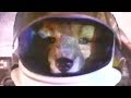 Star fox snes commercial  retro game trailers