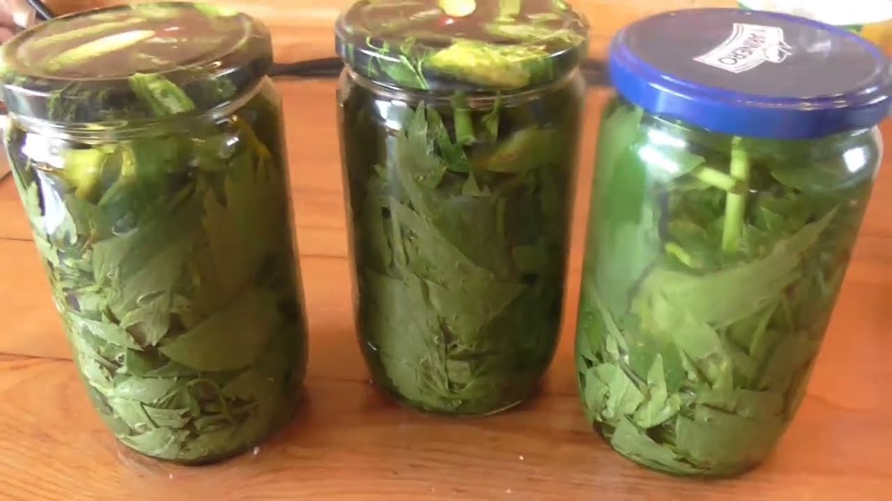 Jak uchovat libeček na zimu.