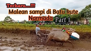 Download Lagu TERBARU 2025....!! (Malean sampi 12) DI BATU KUTE NARMADA di iringi gending Bau sebie MP3 Download Lagu TERBARU 2025....!! (Malean sampi 12) DI BATU KUTE NARMADA di iringi gending Bau sebie MP3