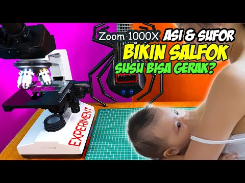 ZOOM 1000X: AIR SUSU IBU (ASI) vs SUSU FORMULA DI MIKROSKOP