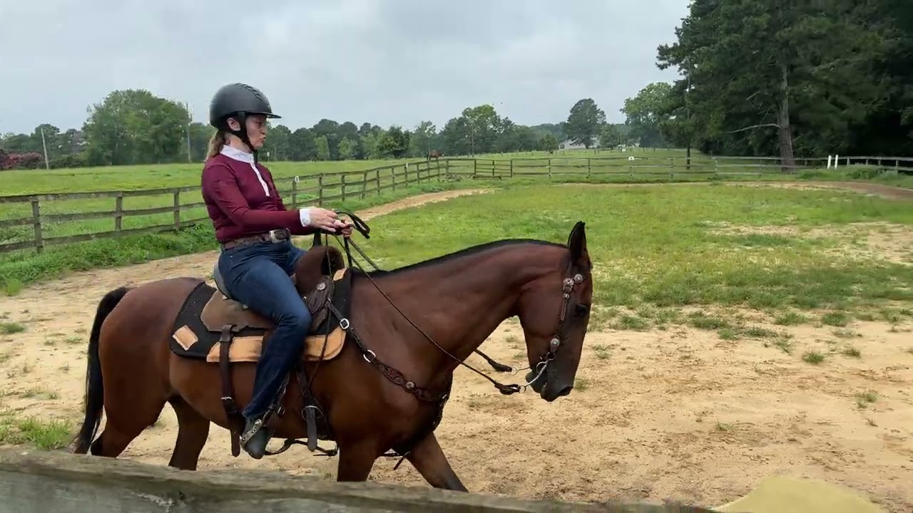 ATAA July 2025 Western Dressage Basic 1 Silverhill Kostyor/Aurora DeLuca