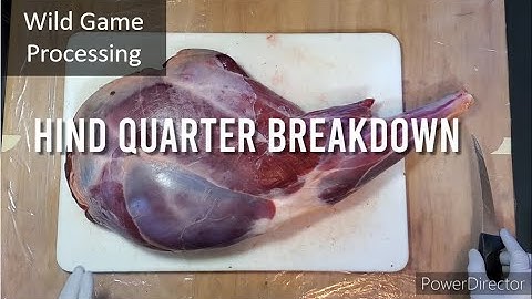 Hind Quarter Breakdown - Part 1