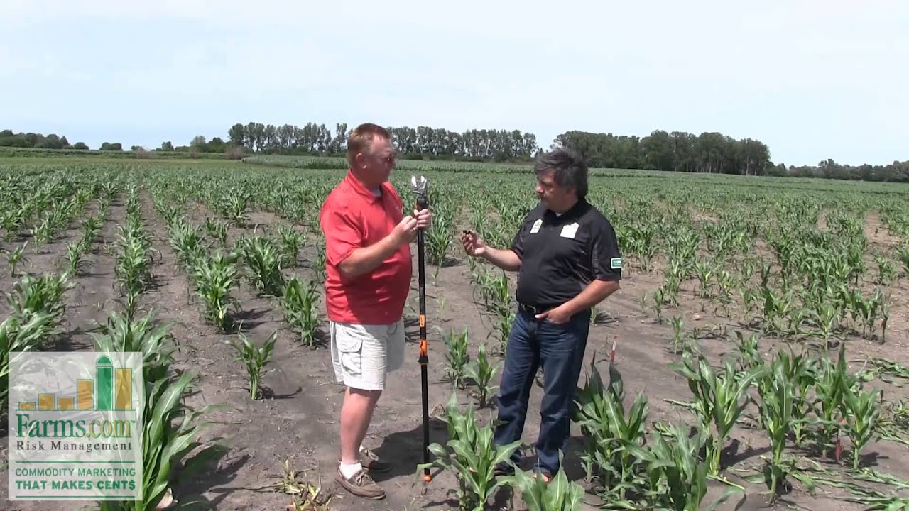 2014 Corn Belt Crop Tour AgReliant Nursery YouTube
