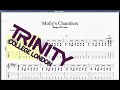 Molly S Chambers 2012 Syllabus Trinity Grade 5 Guitar mp3