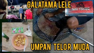 UMPAN GALATAMA LELE MEDIA TELOR MUDA / PEREN...