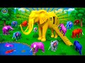 Golden elephant house elephants vs predators lion tiger wolf in epic battle  animal kingdom movie
