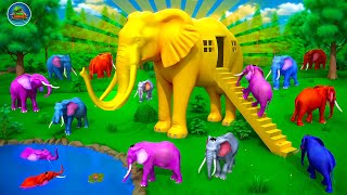 Golden Elephant House: Elephants vs Predators Lion Tiger Wolf in Epic Battle | Animal Kingdom Movie