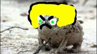 angry squeaking victor
