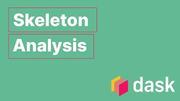 Skeleton Analysis | Life Science Lightning Talk | Genevieve Buckley | Dask Summit 2021