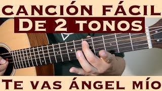 Te Vas Angel Mio - Cancion Facil de 2 Tonos para Principiantes (Tutorial Guitarra) Cornelio Reyna chords sheet