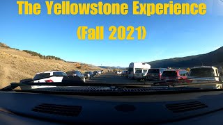 The Yellowstone Experience