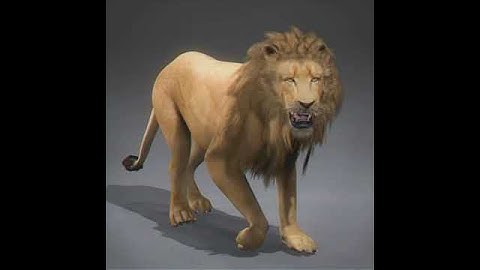 Lion. 3D model from CGTrader.com