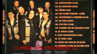 Video thumbnail of "Tambo Tambo-Quieres Ser Mi Amante"