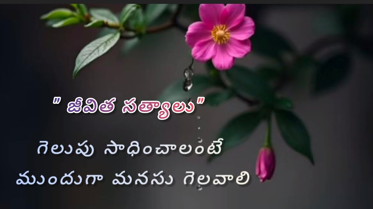 @ జీవిత సత్యాలు@ 