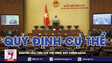Nghị Quyết Cấp Bách Về Chính Sách Tài Khóa Và Tiền Tệ - VNEWS