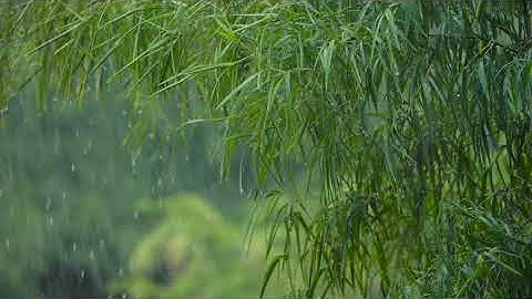 Rileks, mendengarkan musik sambil minum kopi☕☕