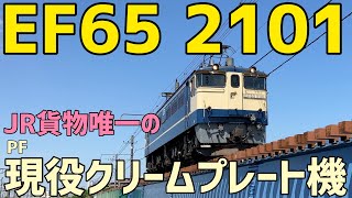 🟦JR貨物唯一のPF現役クリームプレート機　EF65 2101