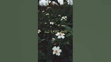 ارح سمعك قليلا #القرآن_الكريم #تلاوة_خاشعة #ارح_قلبك #أرح_سمعك #ياسر_الدوسري #سورة_الكهف #راحة_نفسية
