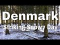 Walking through woods on a snowy day | Copenhagen | Denmark