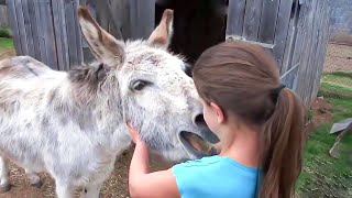 This Girl Starts To Speak When She Approached This Donkey And Hugged Him For The First Time