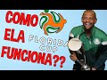 AFINAL, COMO FUNCIONA A FLORIDA CUP??