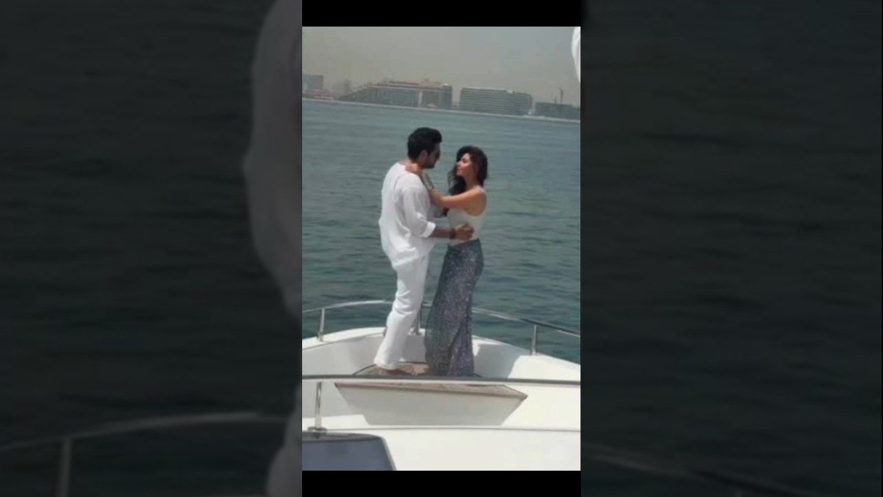 Top hit Pakistani movies in 2025 