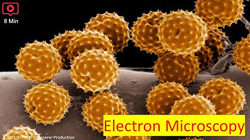 Electron Microscopy Explained in 9 Minutes