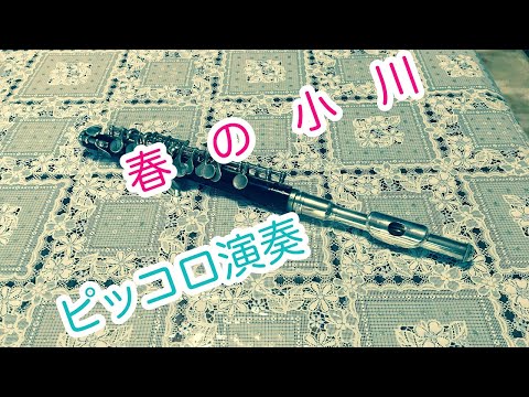 【ピッコロ演奏】りりかピッコロ演奏vlog春の小川