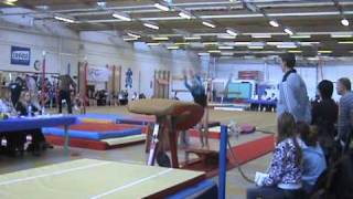 20090321saut1