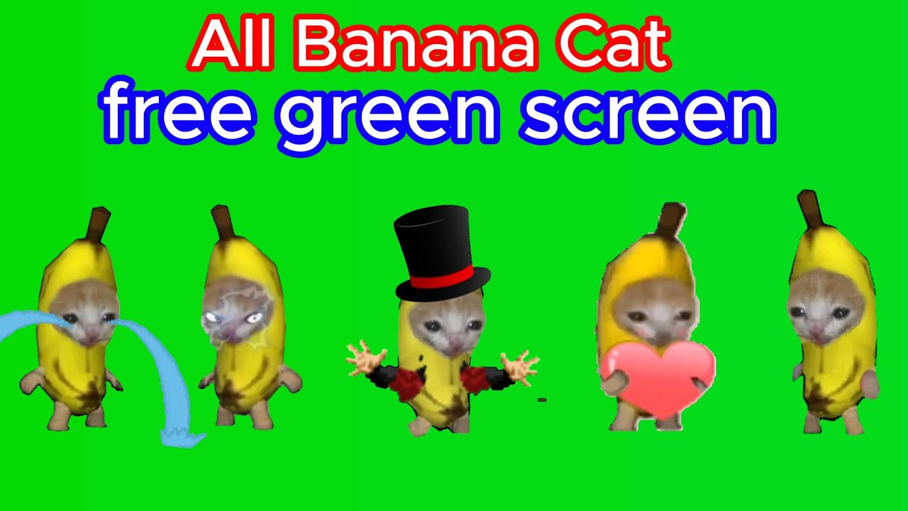 Плачущий банан мем. Плачущий Banana Cat. Банана Кэт край. Banana Cat meme. Банана Кэт банана Кэт.