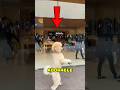 Adorable walking dog