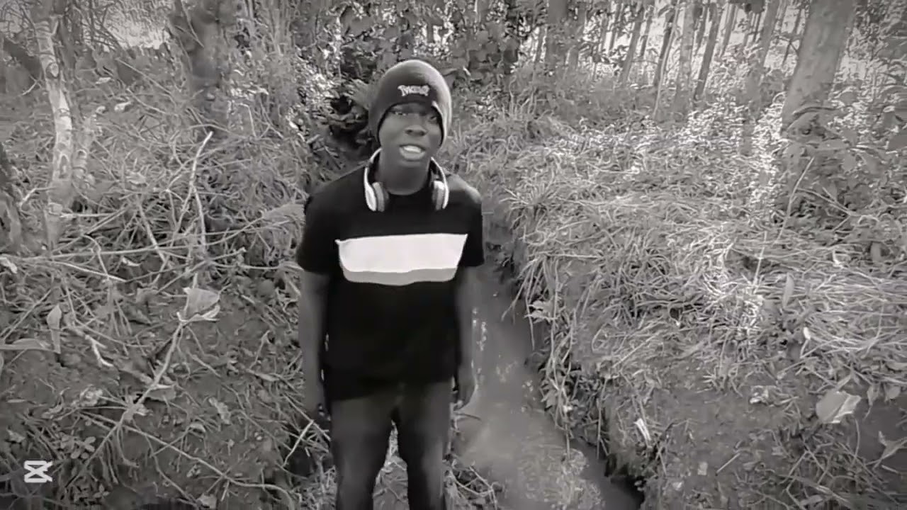 Who let the dogs out by Mactop Synner(visualizer)