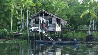 Rio Guajará Marajó