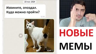 Новые МЕМЫ с Максом Максимовым. Кот укажет путь...