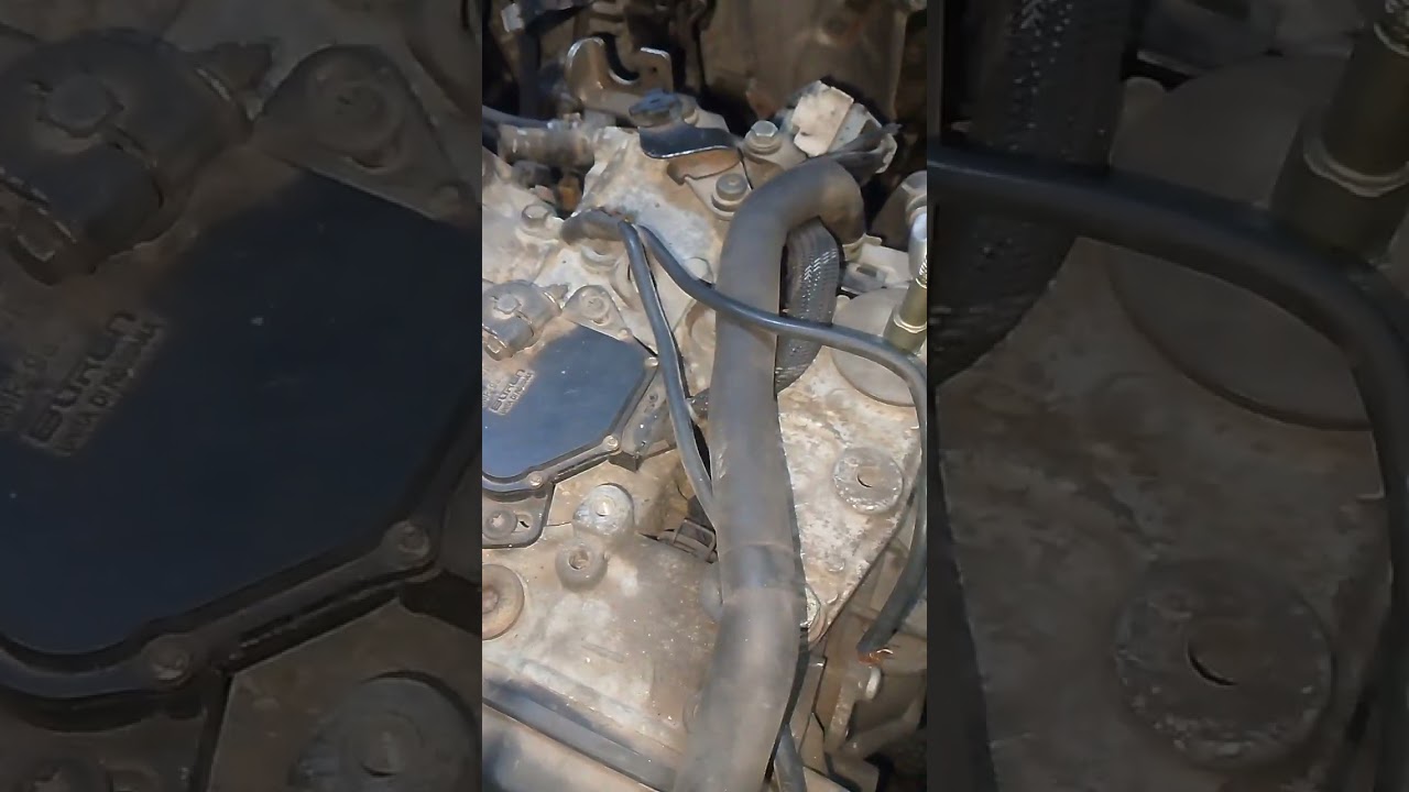 لازم تبقي متأكد أن رحمه ربنا تخليك فرحان ومتفائل (2)