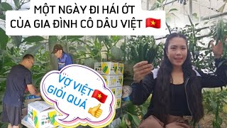 176 MỘT NGÀY NGÀY ĐI ỚT CỦA GIA ĐÌNH CÔ DÂU VIỆT ĐƯỢC BAO NHIÊU TIỀN?