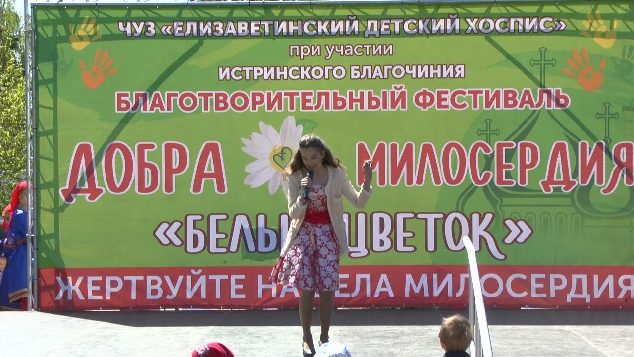 Концерт белый цветок. Концерт белый цветок. Кдц. Белый цветок символ милосердия. Концерт белый цветок.