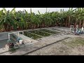 STP Plant Installed in Farm House | Sewage Treatment Plant for Farmhouses | Eco-Friendly Solution